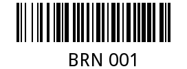 BRN 001