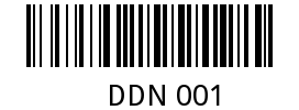 DDN 001