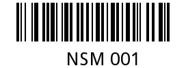 NSM 001